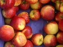 Äpfel_Markt